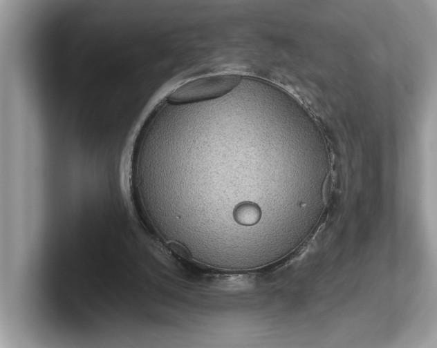 X0000101460056200807211342