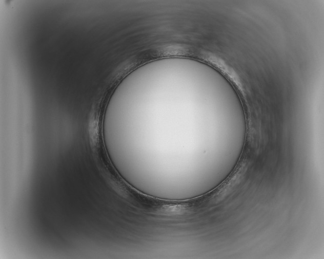 X0000101460057200807211342