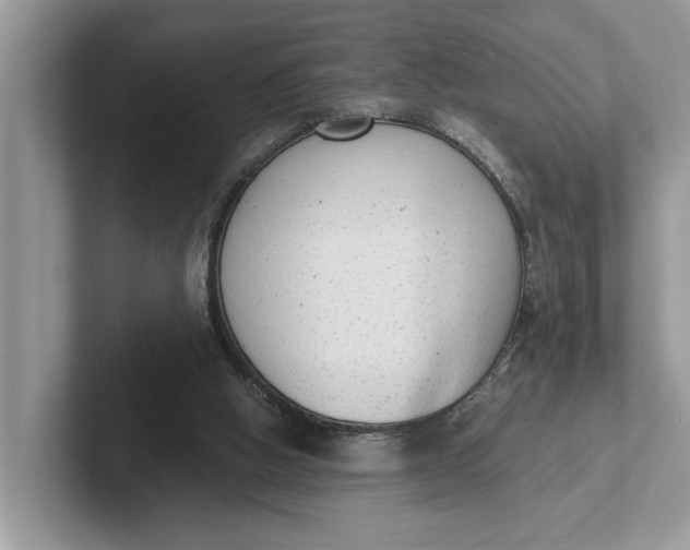 X0000101460058200807211342