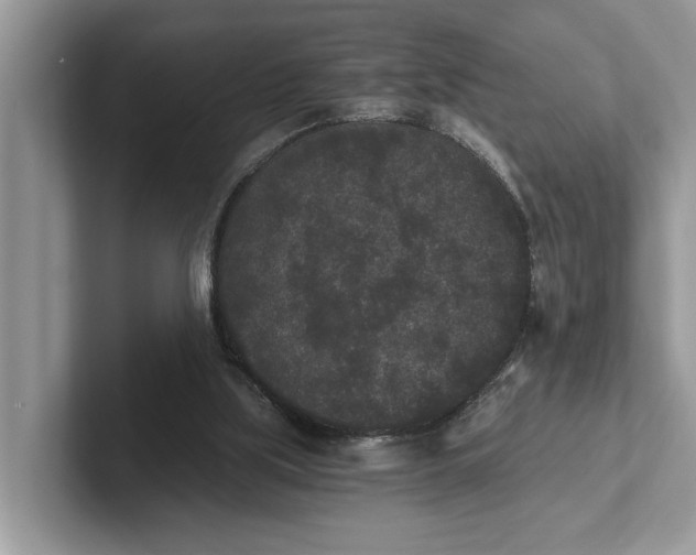 X0000101460059200807211342