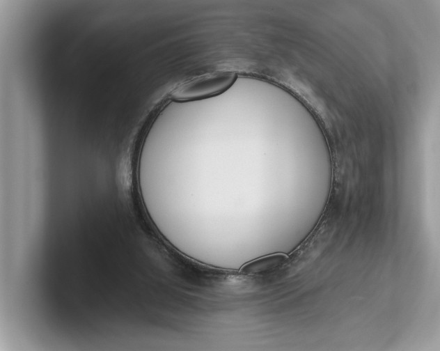 X0000101460060200807211342