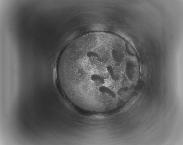 X0000101460061200807211342