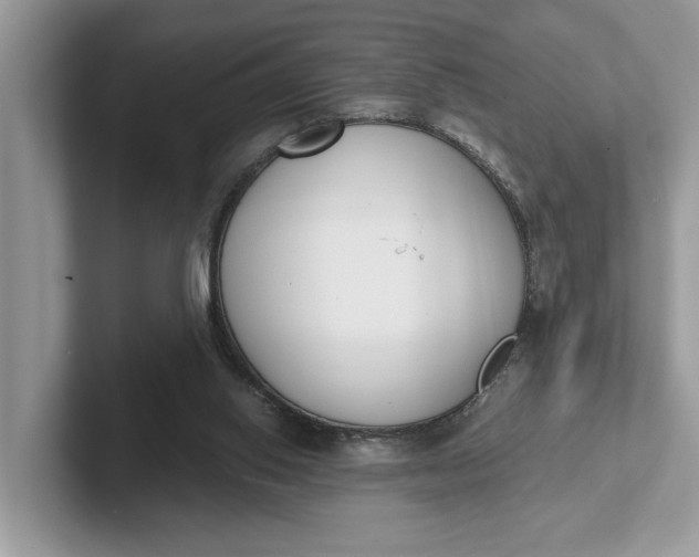 X0000101460062200807211342