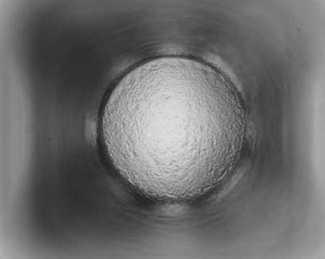 X0000101460063200807211342