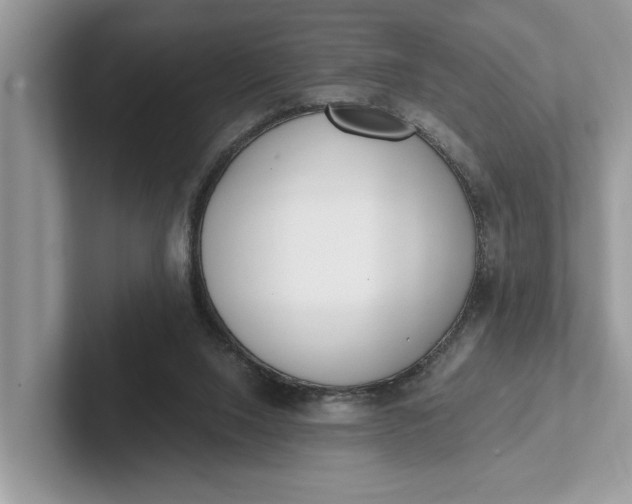 X0000101460064200807211342