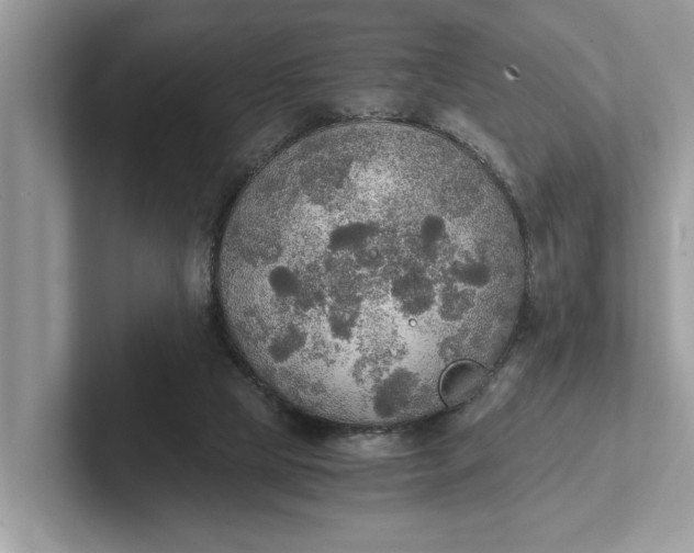 X0000101460065200807211342