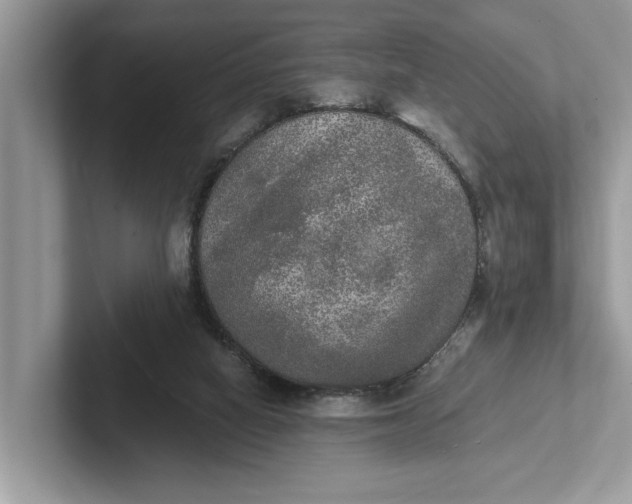 X0000101460066200807211342