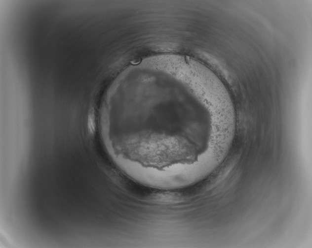 X0000101460069200807211342