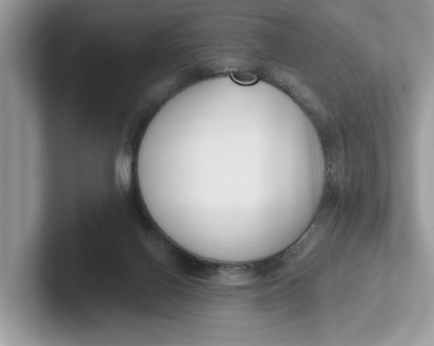 X0000101460070200807211342