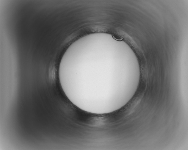 X0000101460071200807211342