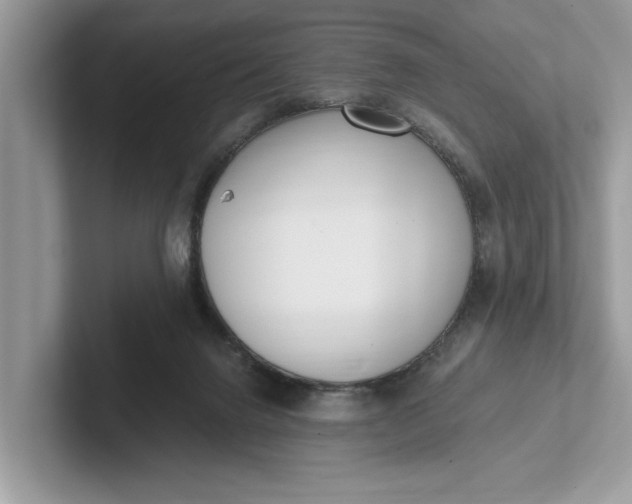 X0000101460072200807211342