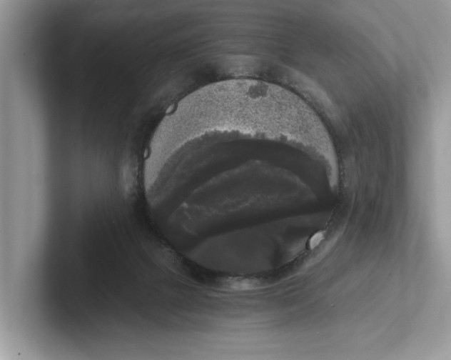 X0000101460073200807211342