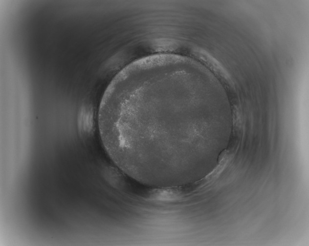 X0000101460074200807211342