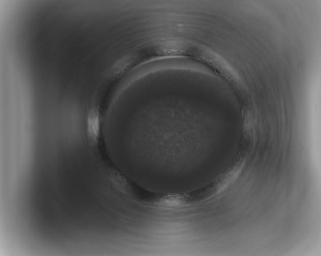 X0000101460076200807211342