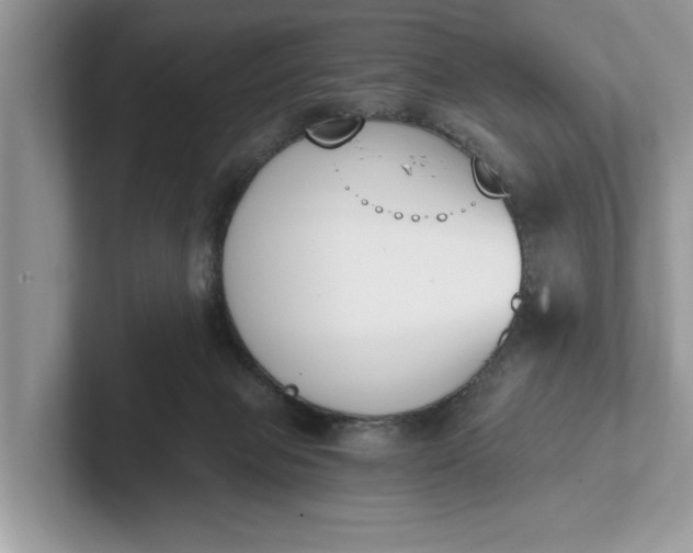 X0000101460077200807211342