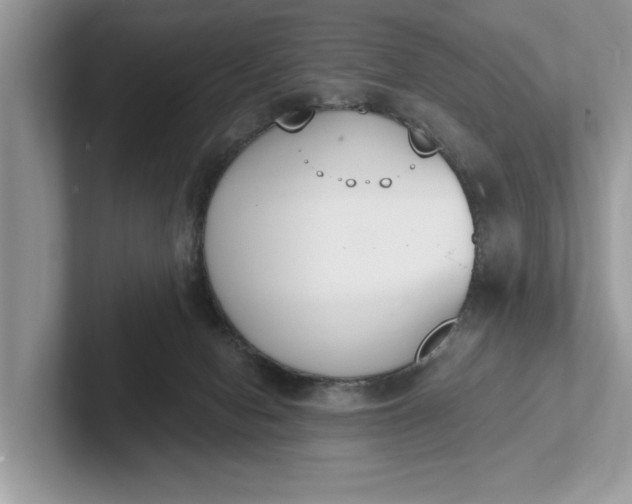 X0000101460078200807211342