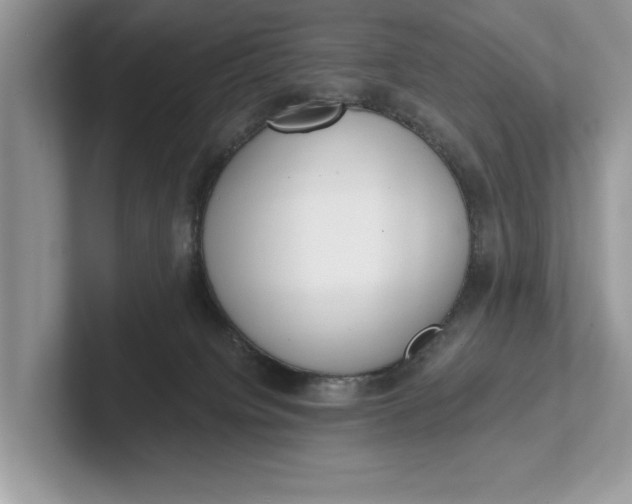 X0000101460084200807211342