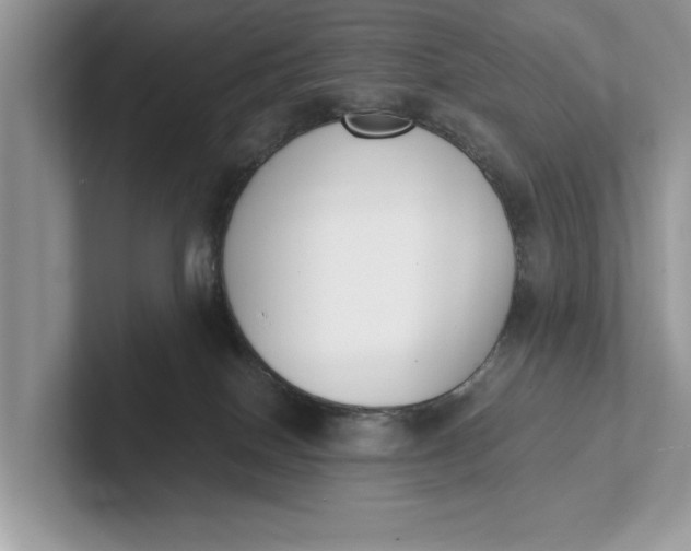 X0000101460086200807211342