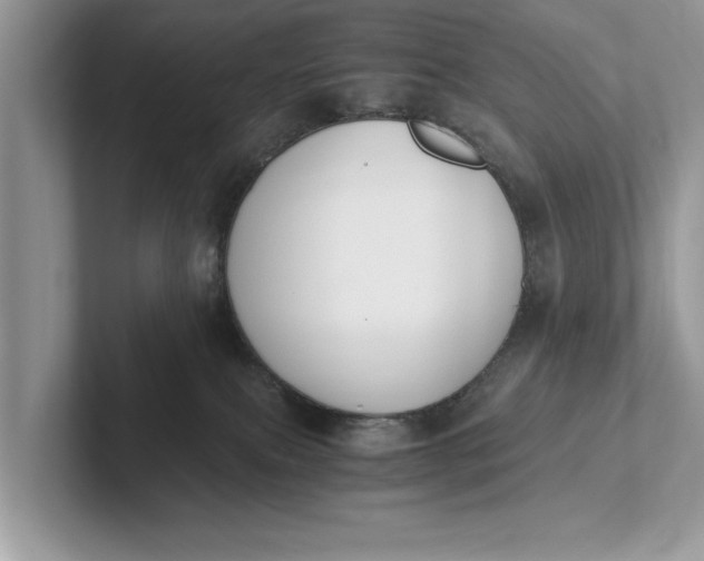 X0000101460087200807211342