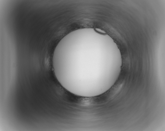 X0000101460088200807211342