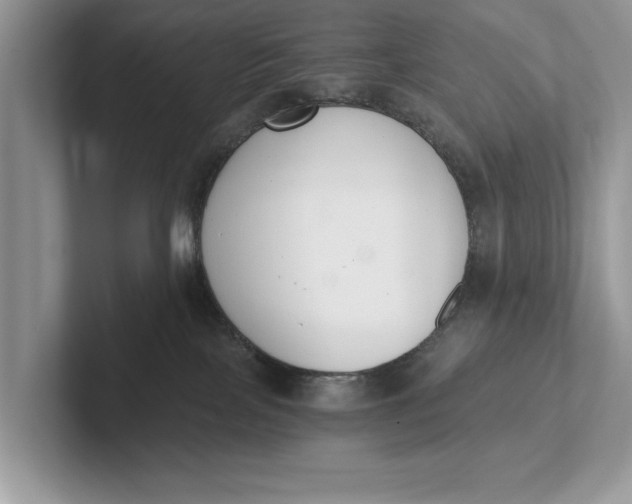 X0000101460089200807211342