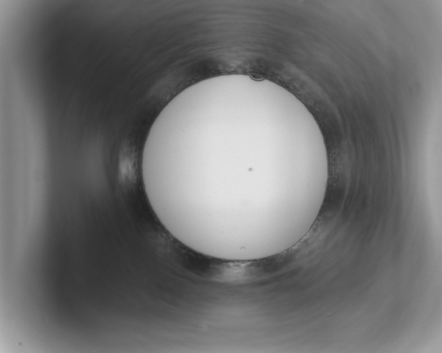 X0000101460090200807211342