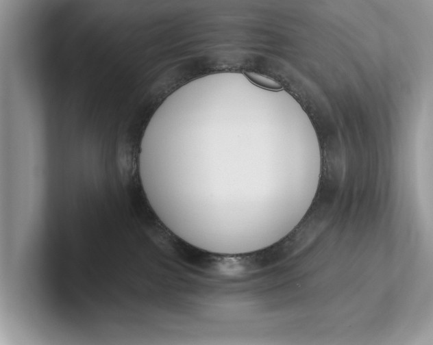 X0000101460091200807211342