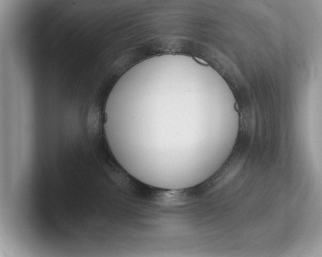 X0000101460092200807211342