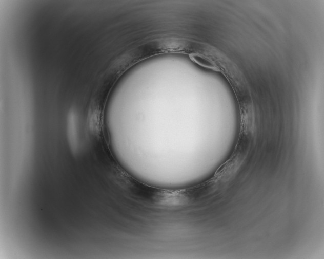 X0000101460093200807211342