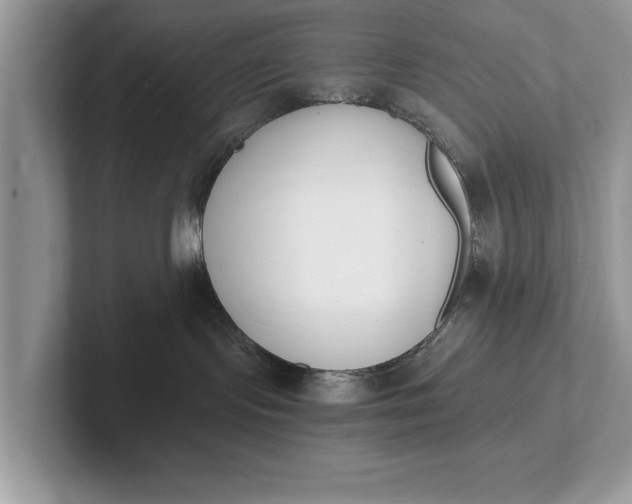 X0000101460095200807211342