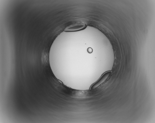 X0000101460096200807211342