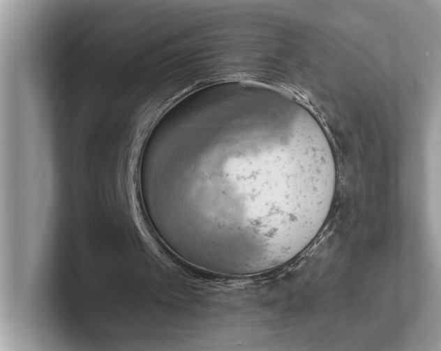 X0000101460097200807211341