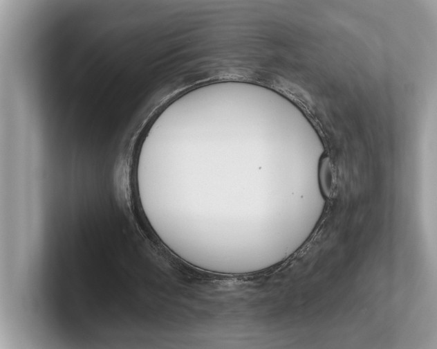 X0000101460098200807211341