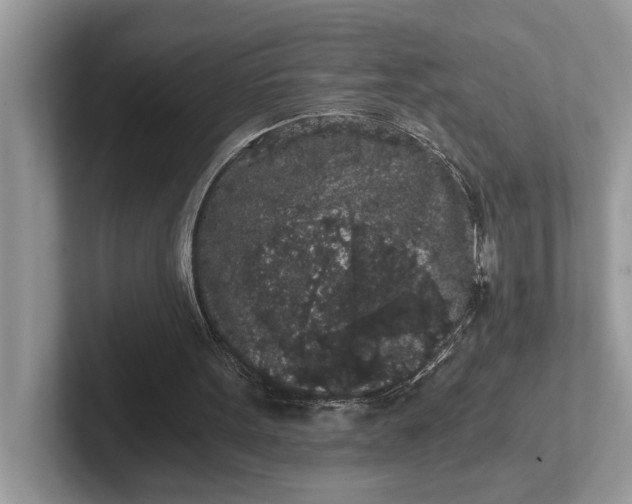 X0000101460099200807211341