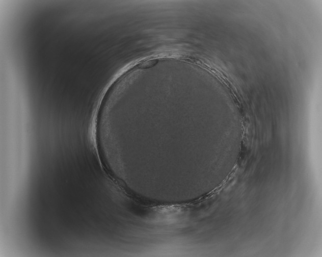 X0000101460100200807211341