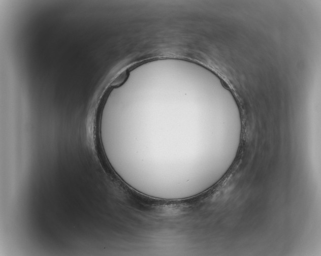 X0000101460103200807211341