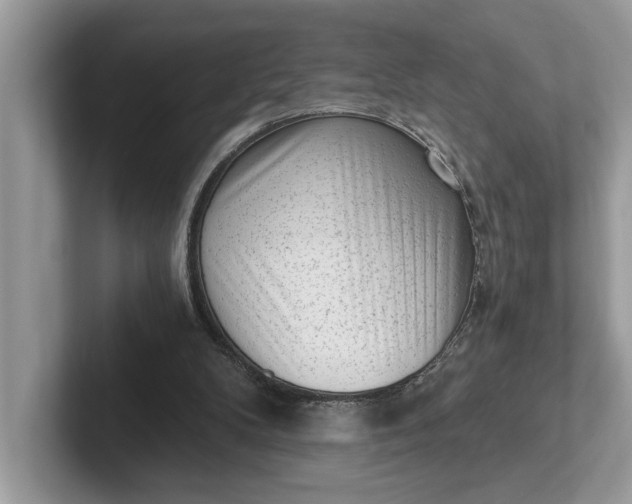 X0000101460104200807211341