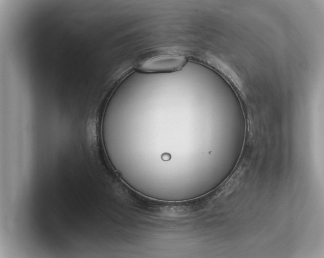 X0000101460105200807211341