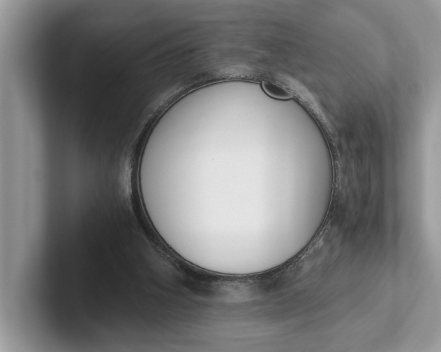 X0000101460106200807211341