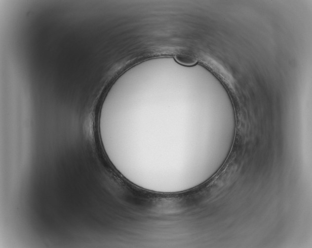 X0000101460107200807211341