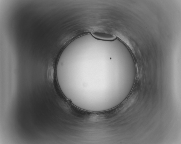 X0000101460109200807211341