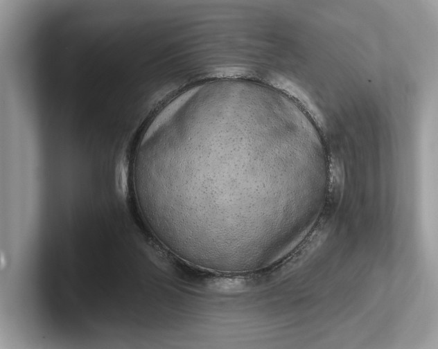 X0000101460110200807211341