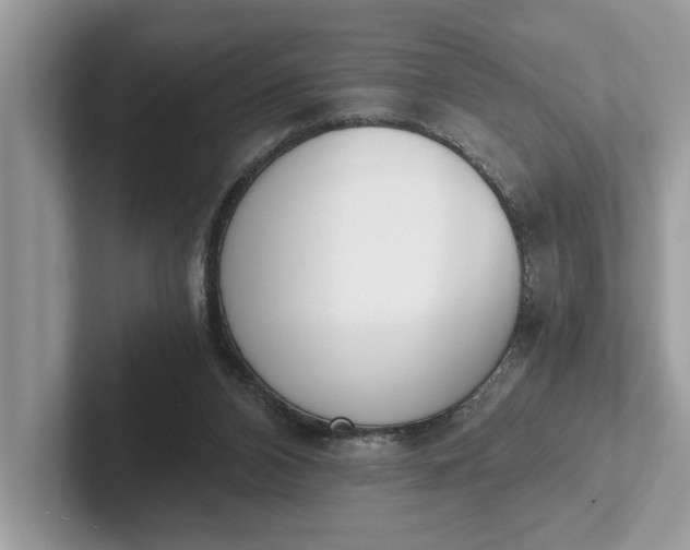 X0000101460112200807211341