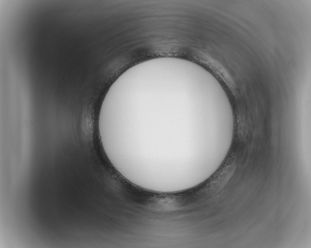 X0000101460113200807211341