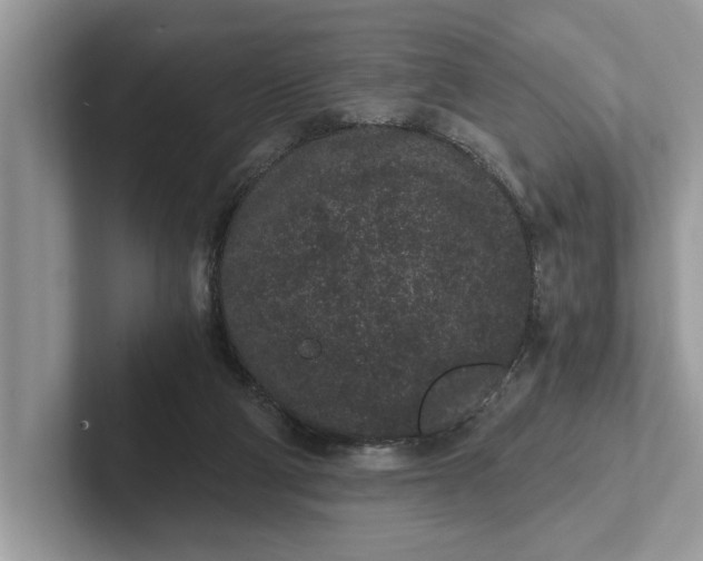 X0000101460114200807211341