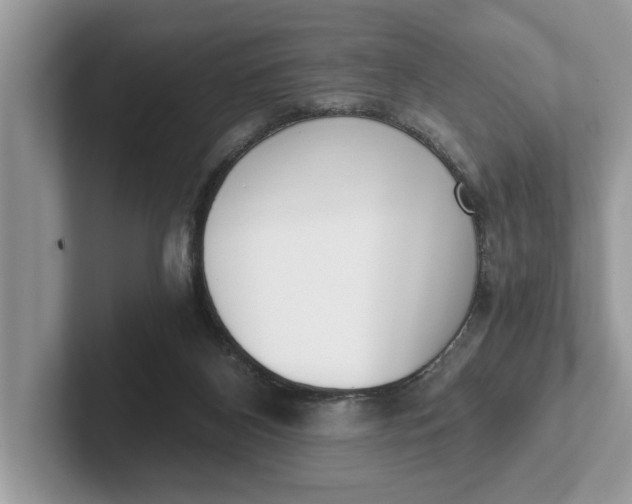 X0000101460116200807211341