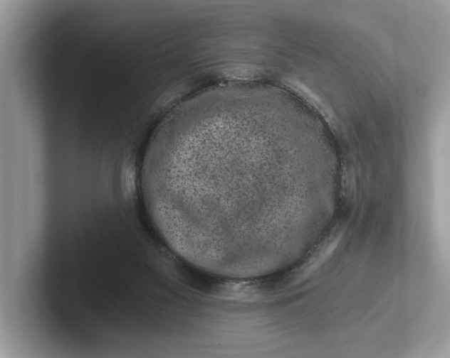 X0000101460117200807211341