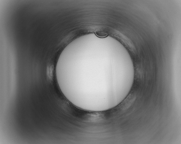 X0000101460118200807211341