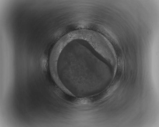 X0000101460127200807211341