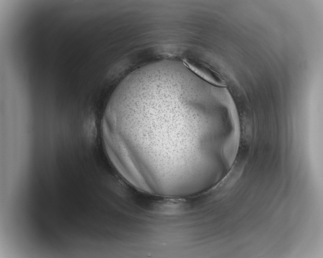 X0000101460128200807211341